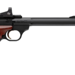 BROWNING BUCKMARK HUNTER 22LR 7.6" RDS#