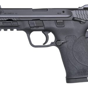 RUGER HAWKEYE FTW HNTR 300WIN SS/TAN