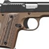 KIMBER MICRO DN 380ACP 2.75" NS