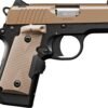 KIMBER MICRO DT 380ACP 2.75" NS