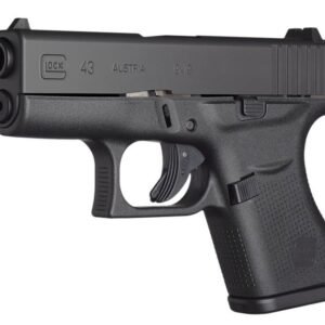 Charter Arms Pathfinder Handgun .22 LR 8rd Capacity 4.2" Barrel Anodized Stainless Steel Rosewood Checkered Grip