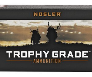 NOSLER 308WIN 150GR AB 20/200