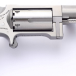 NORTH AMERICAN ARMS SIDEWINDER 22MAG 2.5" SS