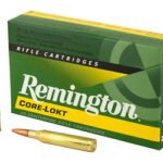 REM 25-06REM 120GR PSP CL 20/200