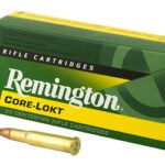 REM 3030WIN 150GR SP CL 20/200