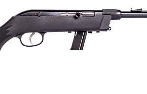 RUGER 10/22 TGT LT 22LR BL/LAM THOLE