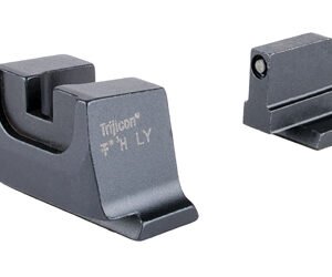 XS DXT2 TRIT BIG DOT S&W M&P OR ORG