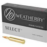WBY AMMO 257WBY 100GR HRNDY INTER