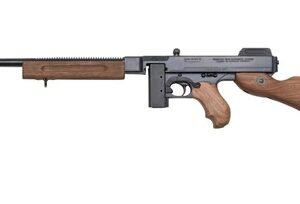 HENRY LONG RANGER COYOTE - 223REM/5.56 20" ENGRAVED