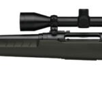 SAVAGE ARMS AXIS 2 243WIN BL/GRN PKG LH