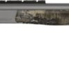 CVA SCOUT V2 CPT 350LEG TNG/ESCAPE