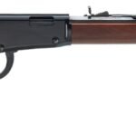 HENRY REPEATING ARMS LEVER ACT 17HMR BL/WD OCTAGON