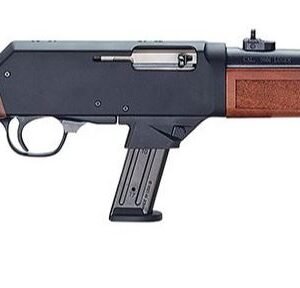 SAVAGE ARMS 64 SEMI-AUTO 22LR PURPLE 10+1
