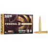Federal Premium Gold Medal Sierra MatchKing Rifle Ammunition .30-06 Sprg 168 gr BTHP 2700 fps - 20/ct
