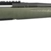 RUGER AMERICAN RIFLE PREDATOR 22 250 REM BA RIFLE 22 BBL Matte BLK
