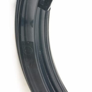 HENRY REPEATING ARMS GOLDEN BOY LEVER 22MAG BL/WD