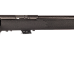 SAVAGE ARMS MARK II BOLT 22LR BL/SYN TARG