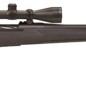 HENRY REPEATING ARMS LEVER ACT 22LR 20" OCTAGON BBL