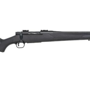 SAVAGE ARMS AXIS 2 CPT 243REM BL/GRY 20"