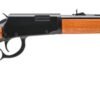 ROSSI RIO BRAVO 22WMR BL/WD 20" 12+1