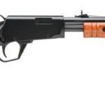 ROSSI GALLERY 22WMR BL/WD 20" 12+1