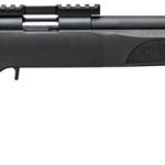 SPRINGFIELD ARMORY 2020 RF TARGET 22LR BL/BL 20"