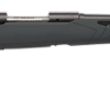SAVAGE ARMS 110 HUNTER 6.5CR BL/SY 24" DBM