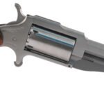NORTH AMERICAN ARMS THE EARL 22MAG 3" SS 5SH