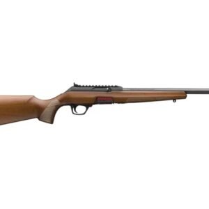 RUGER AMERICAN GEN2 22ARC GRAY 20"