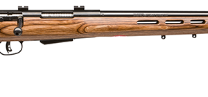 RUGER 10/22 TD 22LR SS BACKPACKER TB