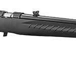 RUGER AMERICAN CMPCT 17HMR BL/SY 18"