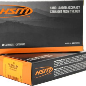 HSM PRO PISTOL 454 CASULL - 300GR JSP 20RD 20BX/CS