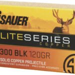 SIG 300 AAC 120GR OTM 20RD - 10BX/CS