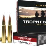 NOSLER TROPHY GRADE LR 33 - NOSLER 265GR ABLR 20RD 10BX/CS