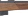 ANSCHUTZ 1761L D HB 17HMR - 20" BLUED/WALNUT CLASSIC LH