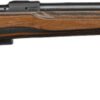 CZ 600 ST2 RANGE 223 REM 24" - BLUED ADJUSTABLE LAMINATE STK