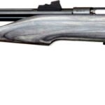 CHIPMUNK PISTOL HUNTER 22WMR - BLUED/BLACK LAMINATE THREADED