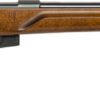 ANSCHUTZ 1761 HB MPR 22LR - 21.4" BLUED/HARDWOOD 2-STG