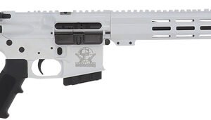WINCHESTER MODEL 70 325 WSM - 24" COYOTE LT SS/SYNTH