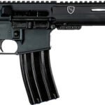 ALEXANDER RIFLE STANDARD - 300AAC 16" 30RD BLACK