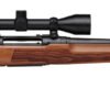 SAVAGE ARMS AXIS 2 400LEG WOOD 20" PKG
