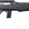 BRZ ROSSI RS22 22LR 18B TB PIC
