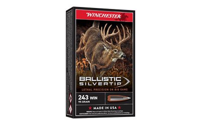 WIN BLSTC TIP 243WIN 95GR 20/200