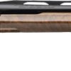 WINCHESTER SXP HIGH GRADE TRAP - 12GA 3" 30"VR BLACK WALNUT