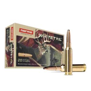 WIN BLSTC TIP 308WIN 168GR 20/200