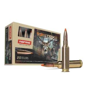 WIN BLSTC TIP 308WIN 168GR 20/200