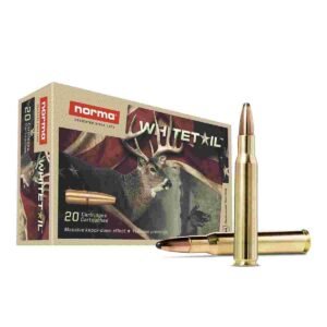 WIN BLSTC TIP 308WIN 168GR 20/200