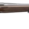 BROWNING X-BOLT 2 MEDALLION 243WIN    #