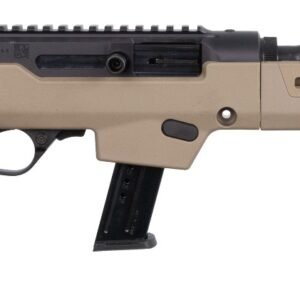 RUGER 10/22 SPORTER 22LR SS/WD 18"
