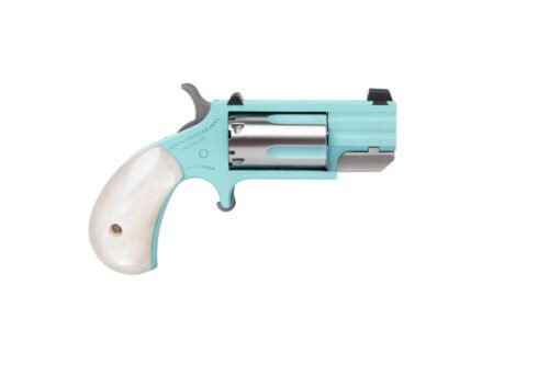 NAA-PUG-DTQ-W.jpg NAM PUG 22M SS 1IN HB FS TQ DE